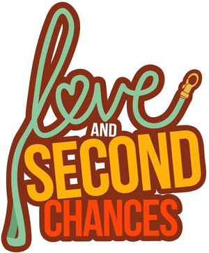 Love and Second Chances