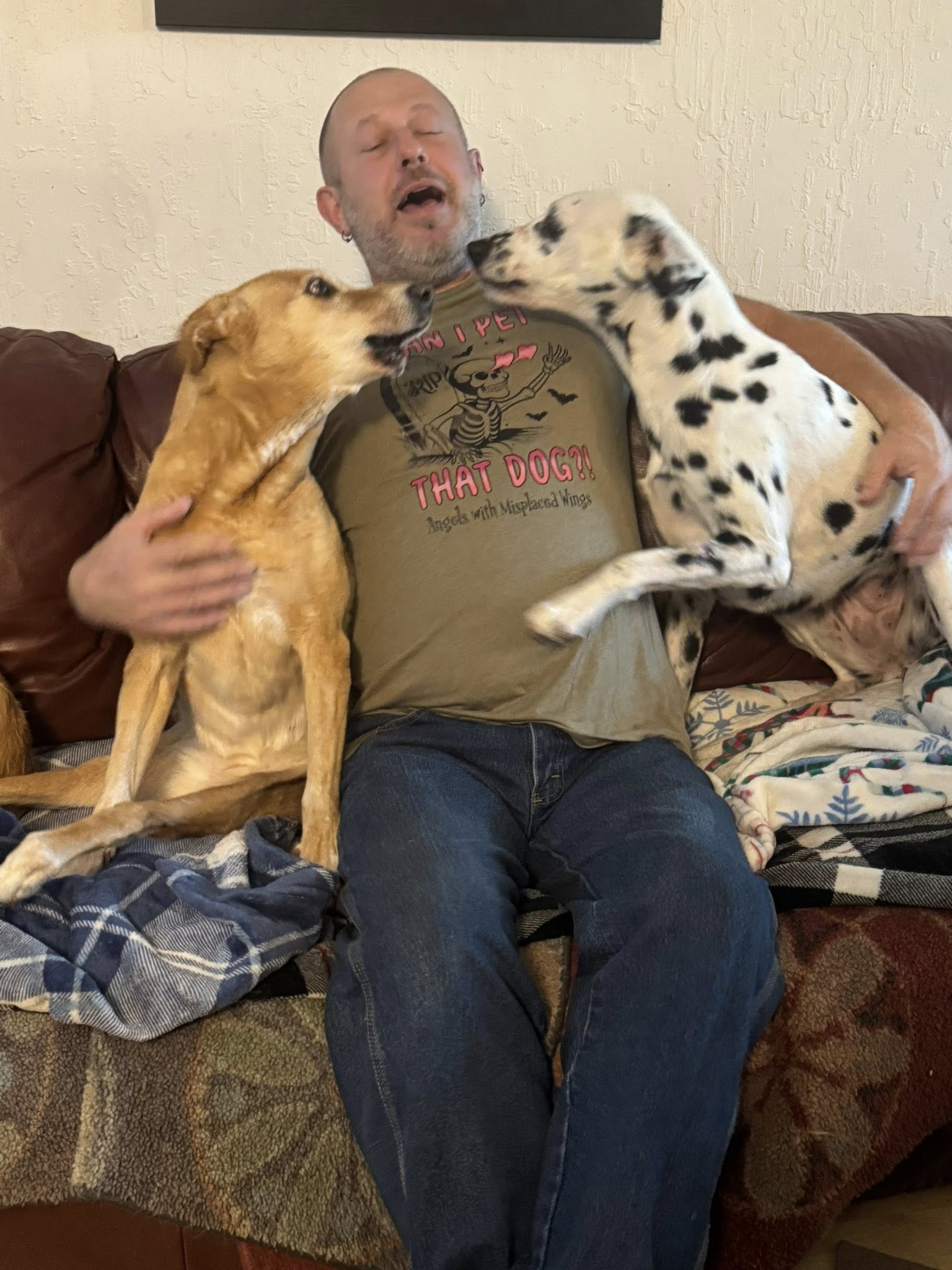 Pet That Dog Soft Tee (available in several colors)