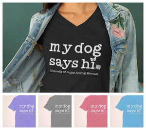 Dog Says Hi Relaxed Triblend V-Neck Tee