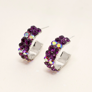 Swarovski Elements Hoop Earrings (Several Colors)