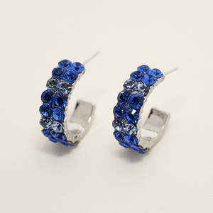Swarovski Elements Hoop Earrings (Several Colors)