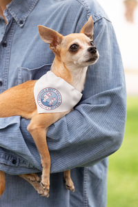 Finding A Best Friend Doggie Bandana - Ruff Life Rescue Wear