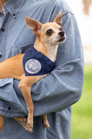 Finding A Best Friend Doggie Bandana - Ruff Life Rescue Wear