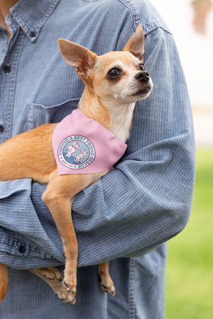 Finding A Best Friend Doggie Bandana - Ruff Life Rescue Wear