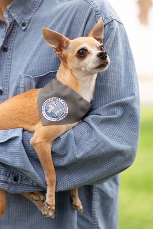 Finding A Best Friend Doggie Bandana - Ruff Life Rescue Wear