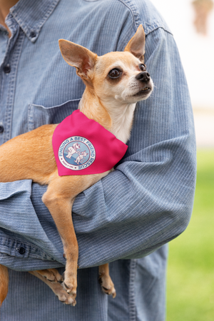 Finding A Best Friend Doggie Bandana - Ruff Life Rescue Wear