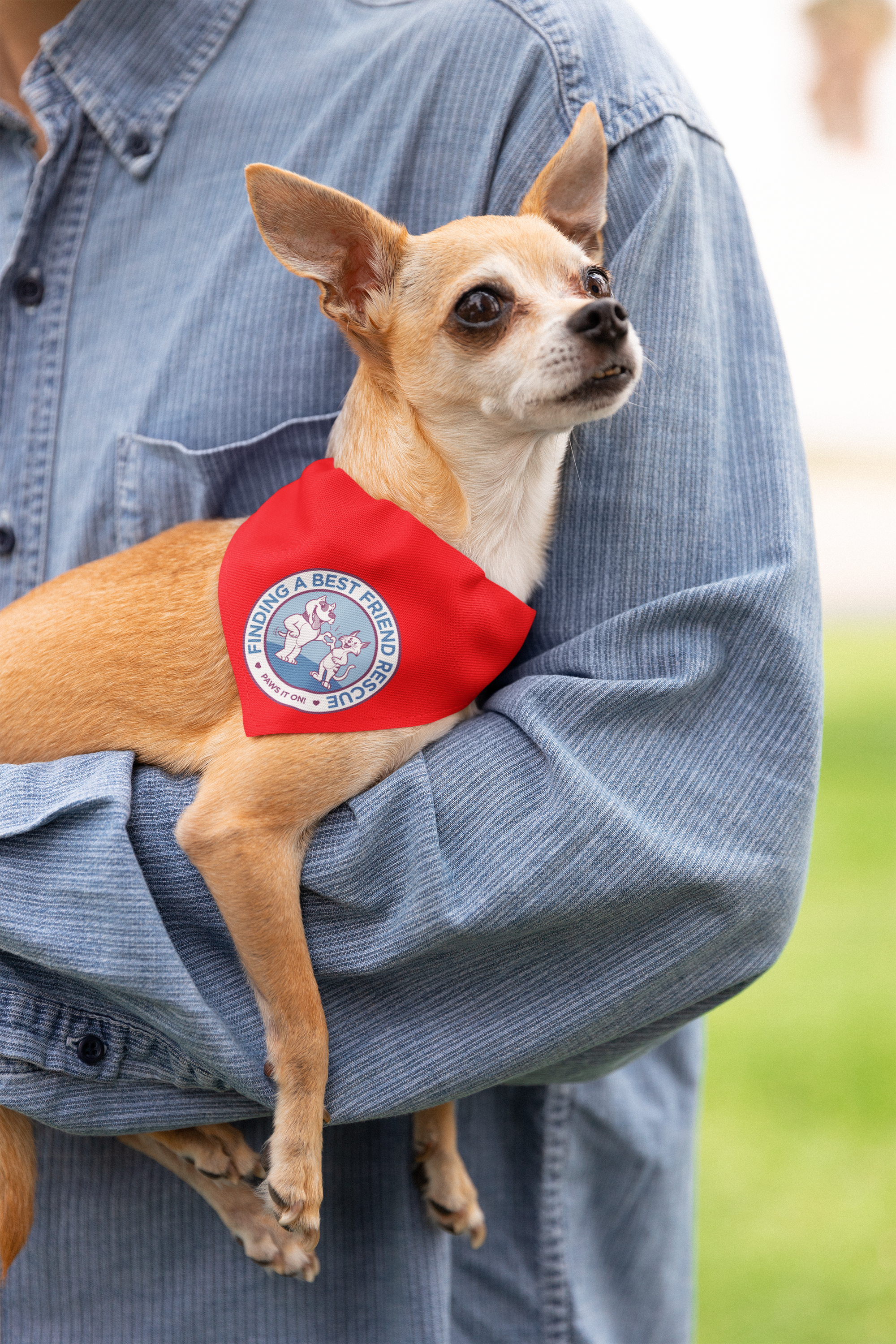 Finding A Best Friend Doggie Bandana - Ruff Life Rescue Wear