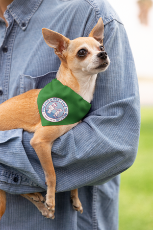 Finding A Best Friend Doggie Bandana - Ruff Life Rescue Wear