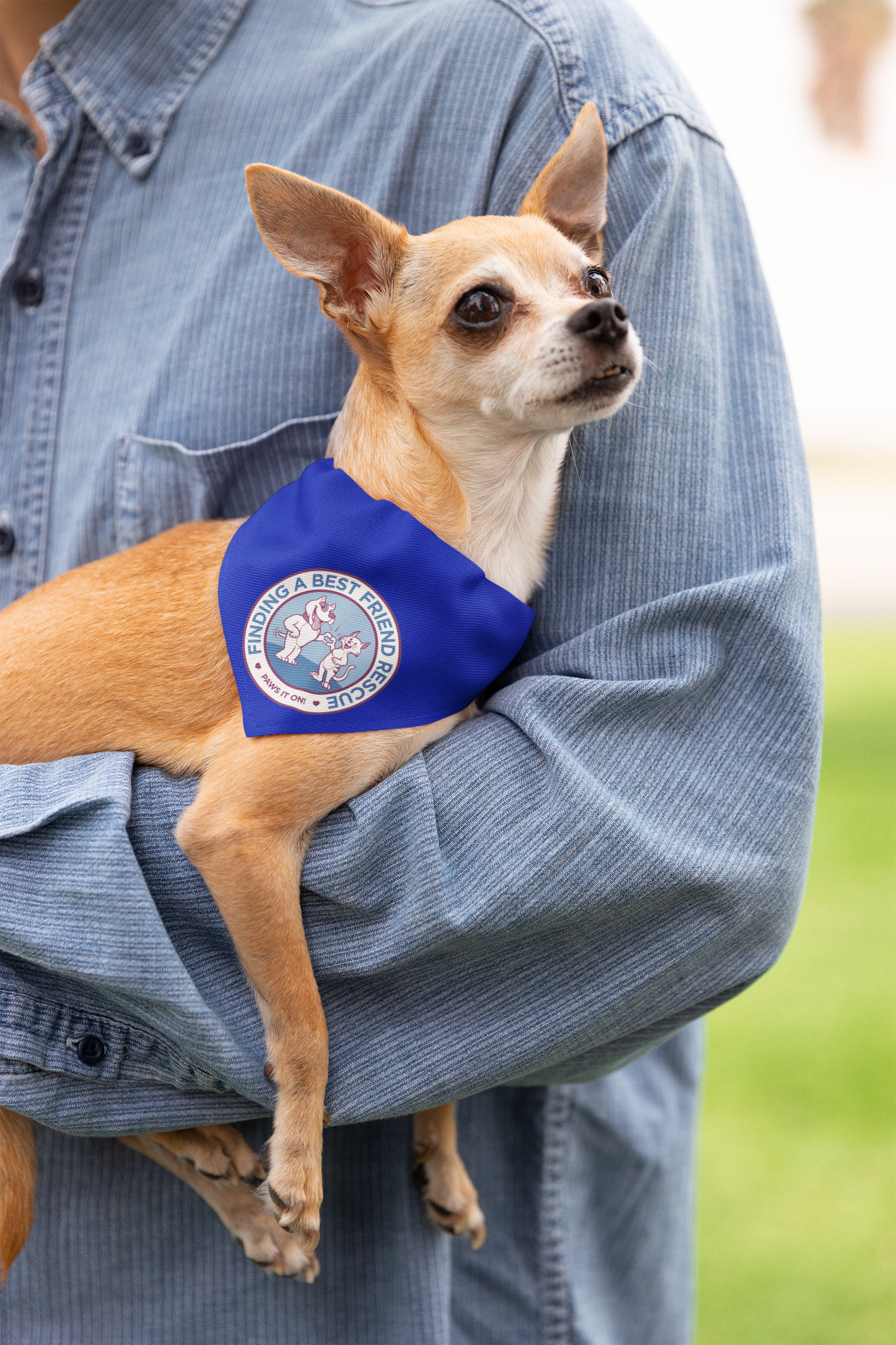 Finding A Best Friend Doggie Bandana - Ruff Life Rescue Wear