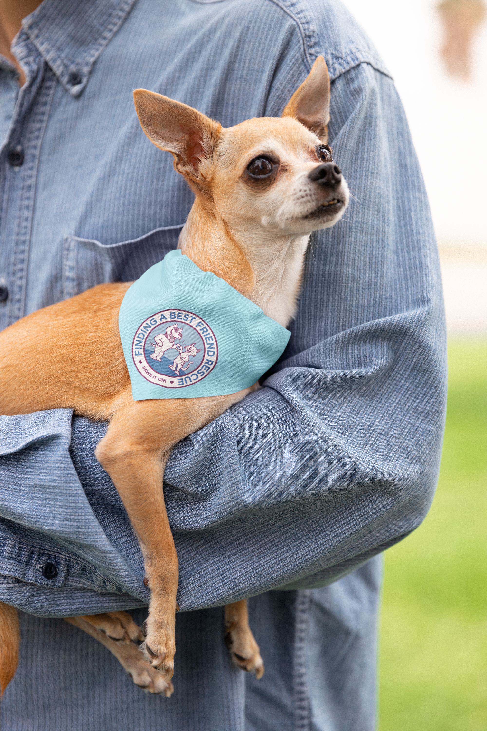 Finding A Best Friend Doggie Bandana - Ruff Life Rescue Wear