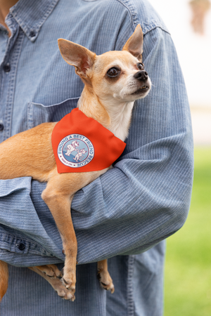 Finding A Best Friend Doggie Bandana - Ruff Life Rescue Wear