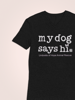Dog Says Hi Relaxed Triblend V-Neck Tee