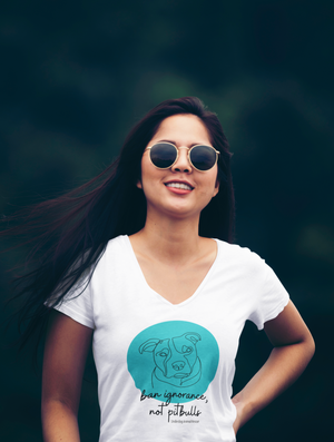Pit Bull Awareness V Neck (available in several colors)