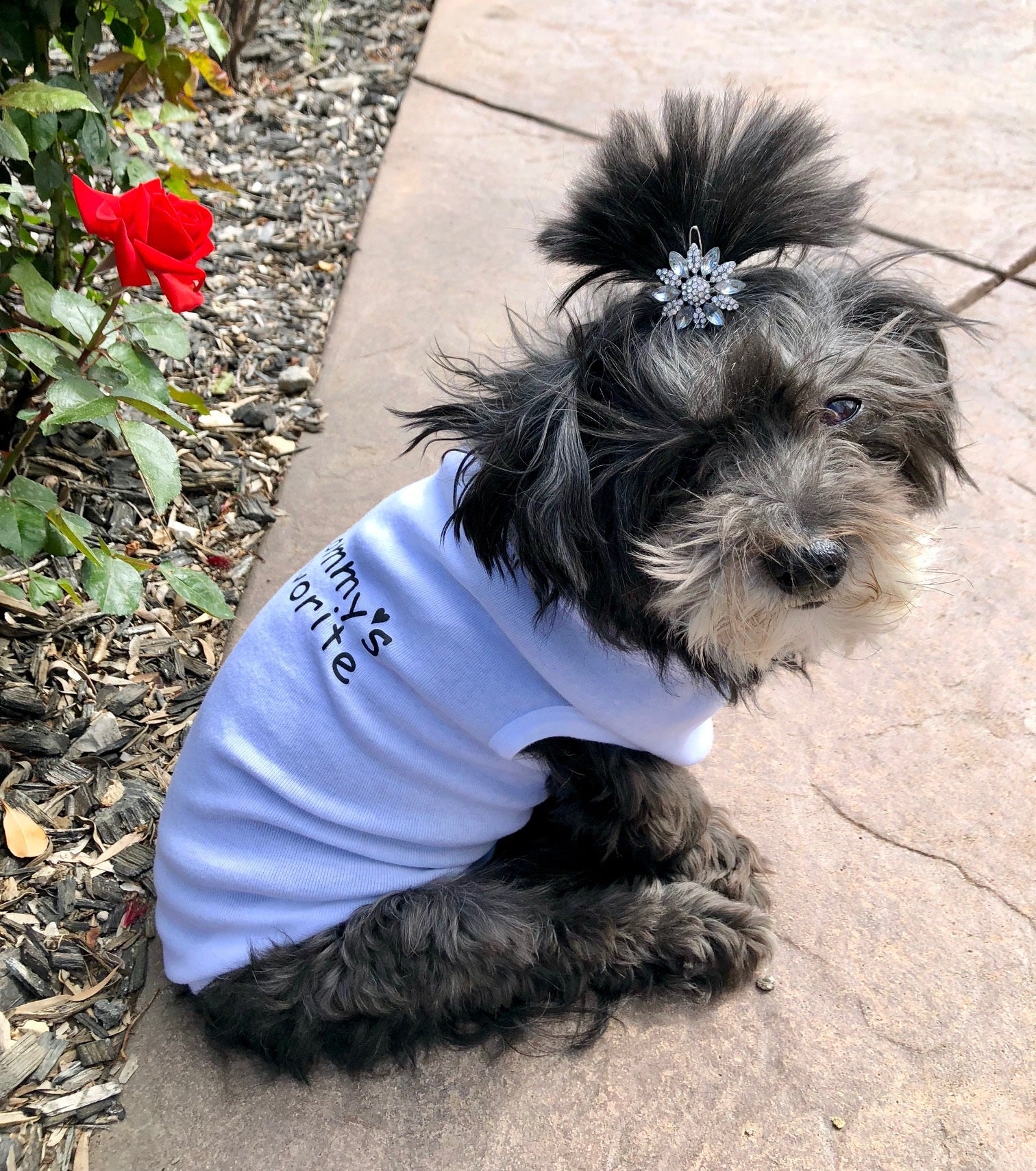 Mommy's Favorite -Doggie Tee - Ruff Life Rescue Wear