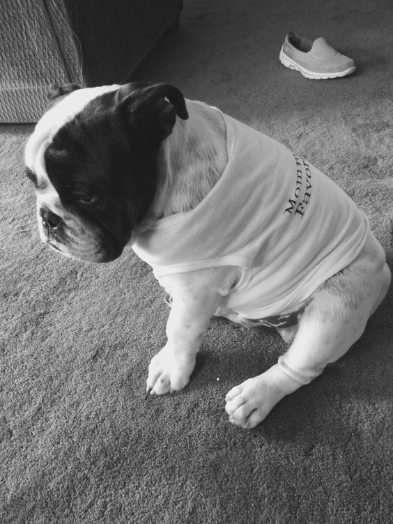 Mommy's Favorite -Doggie Tee - Ruff Life Rescue Wear