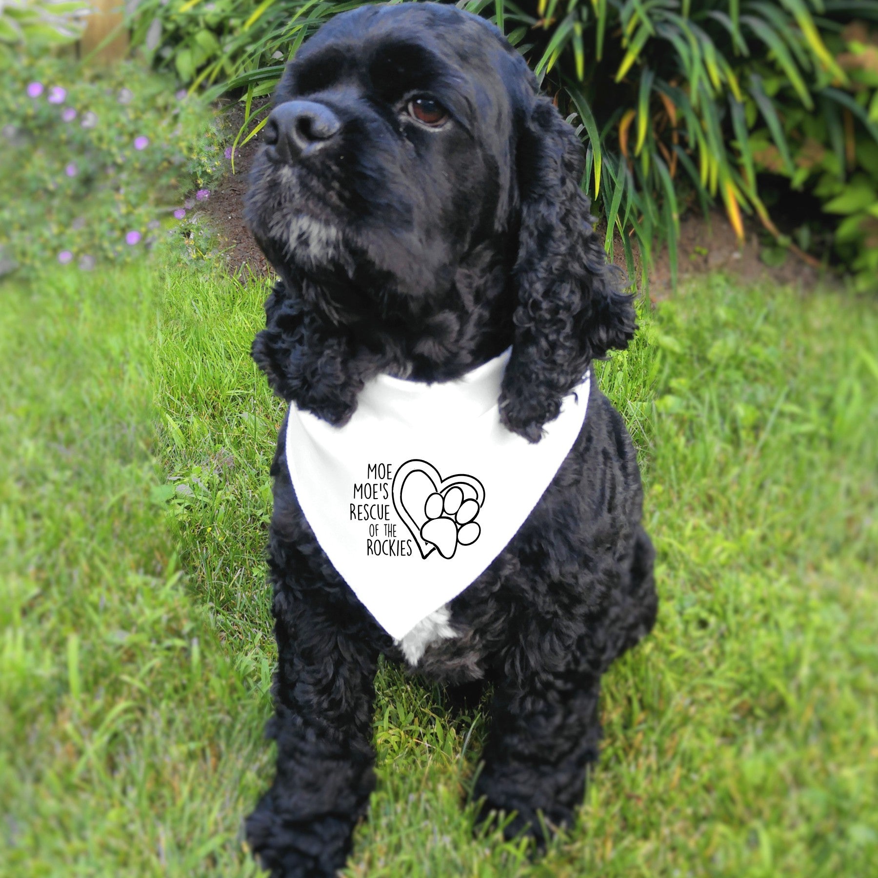 Moe Moe's Doggie Bandana - Ruff Life Rescue Wear