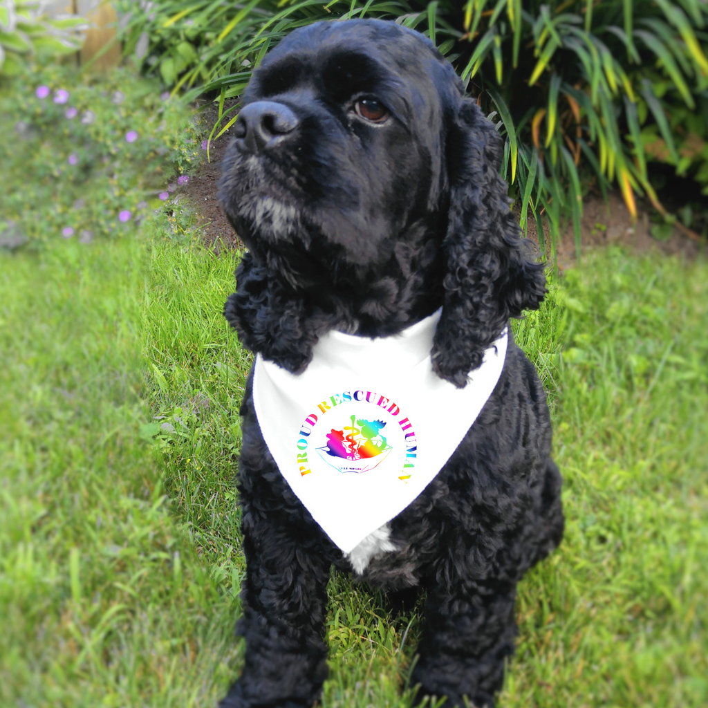 Pride Umbrella of Hope Doggie Bandana - Ruff Life Rescue Wear