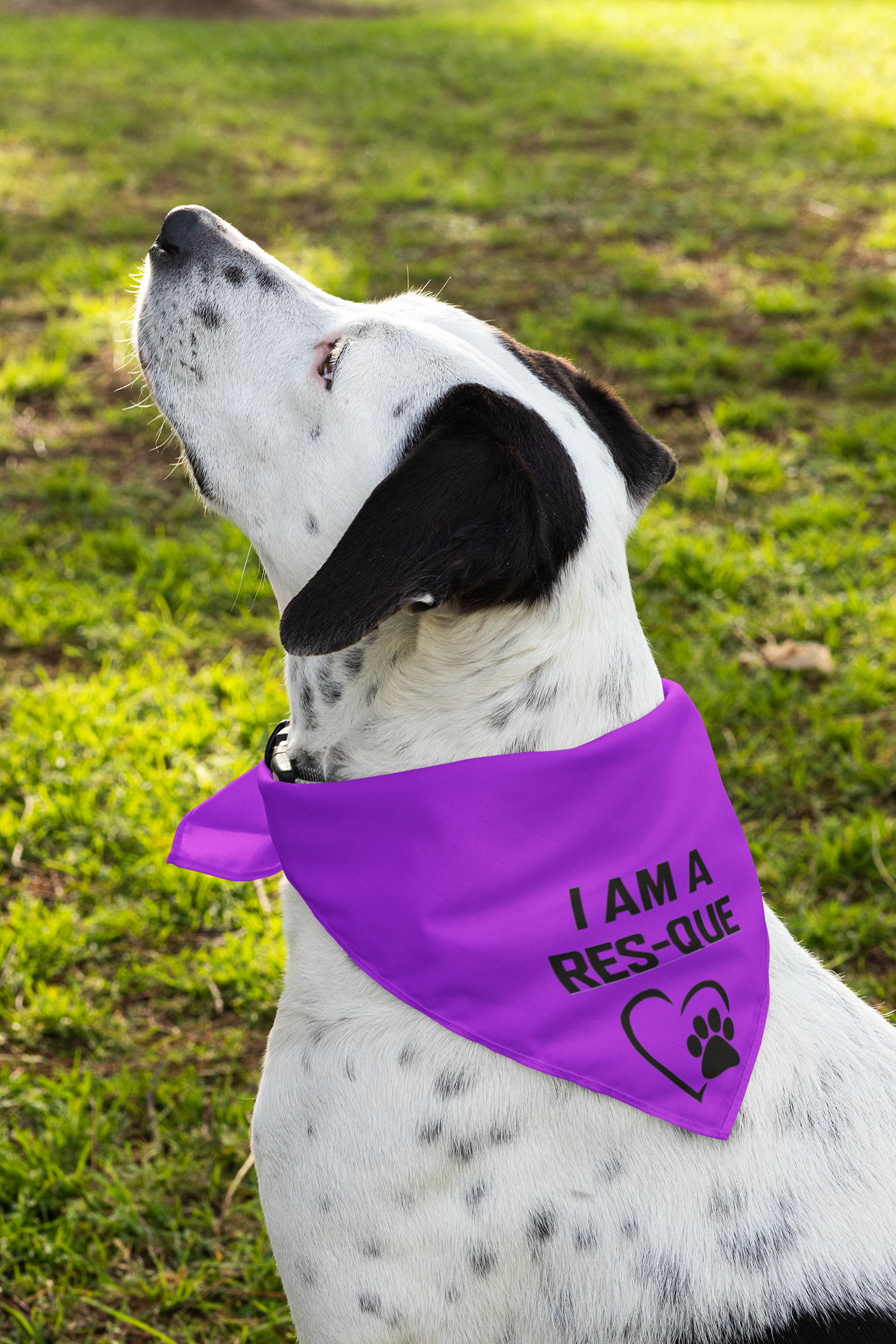 Res-Que Doggie Bandana - Ruff Life Rescue Wear