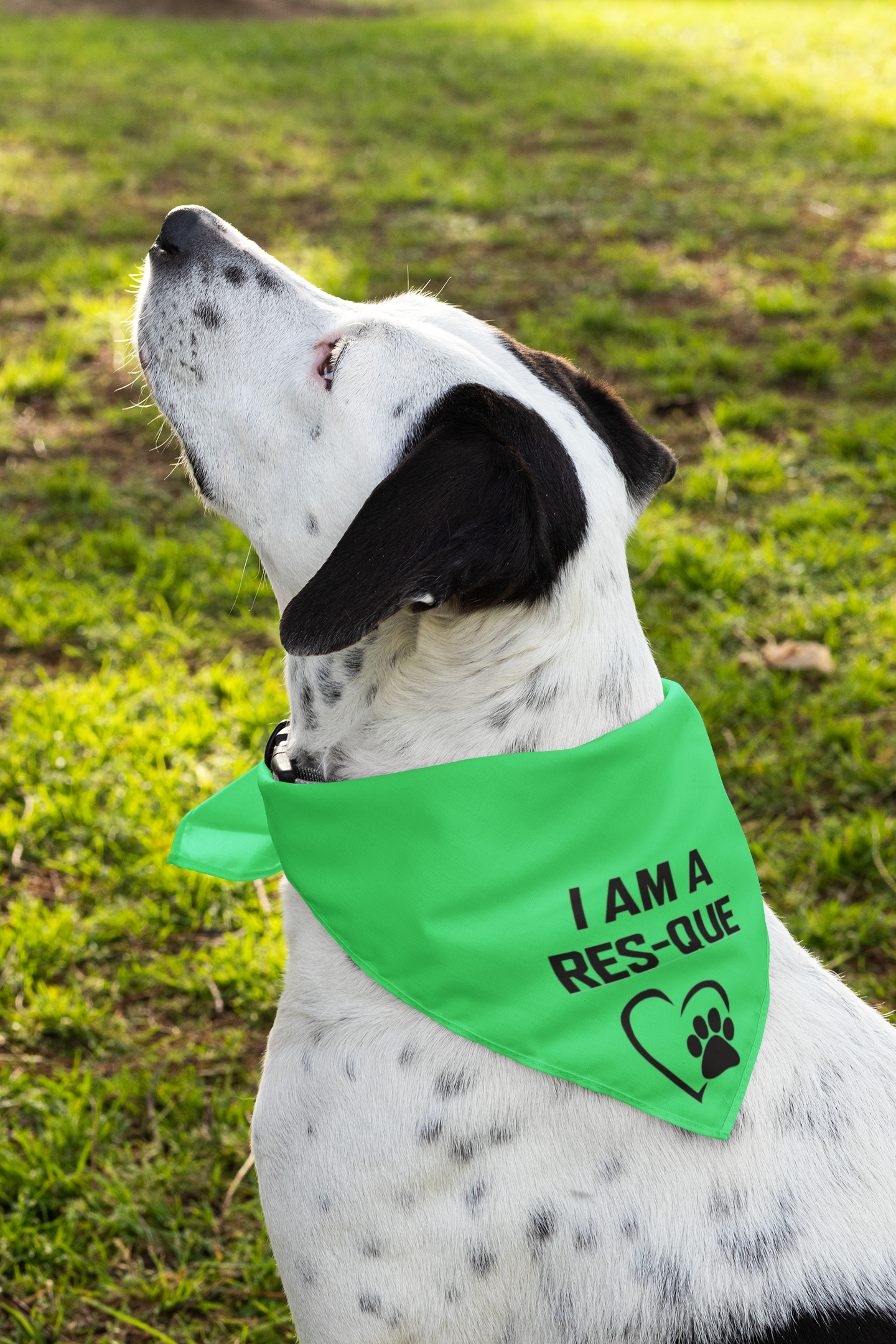 Res-Que Doggie Bandana - Ruff Life Rescue Wear