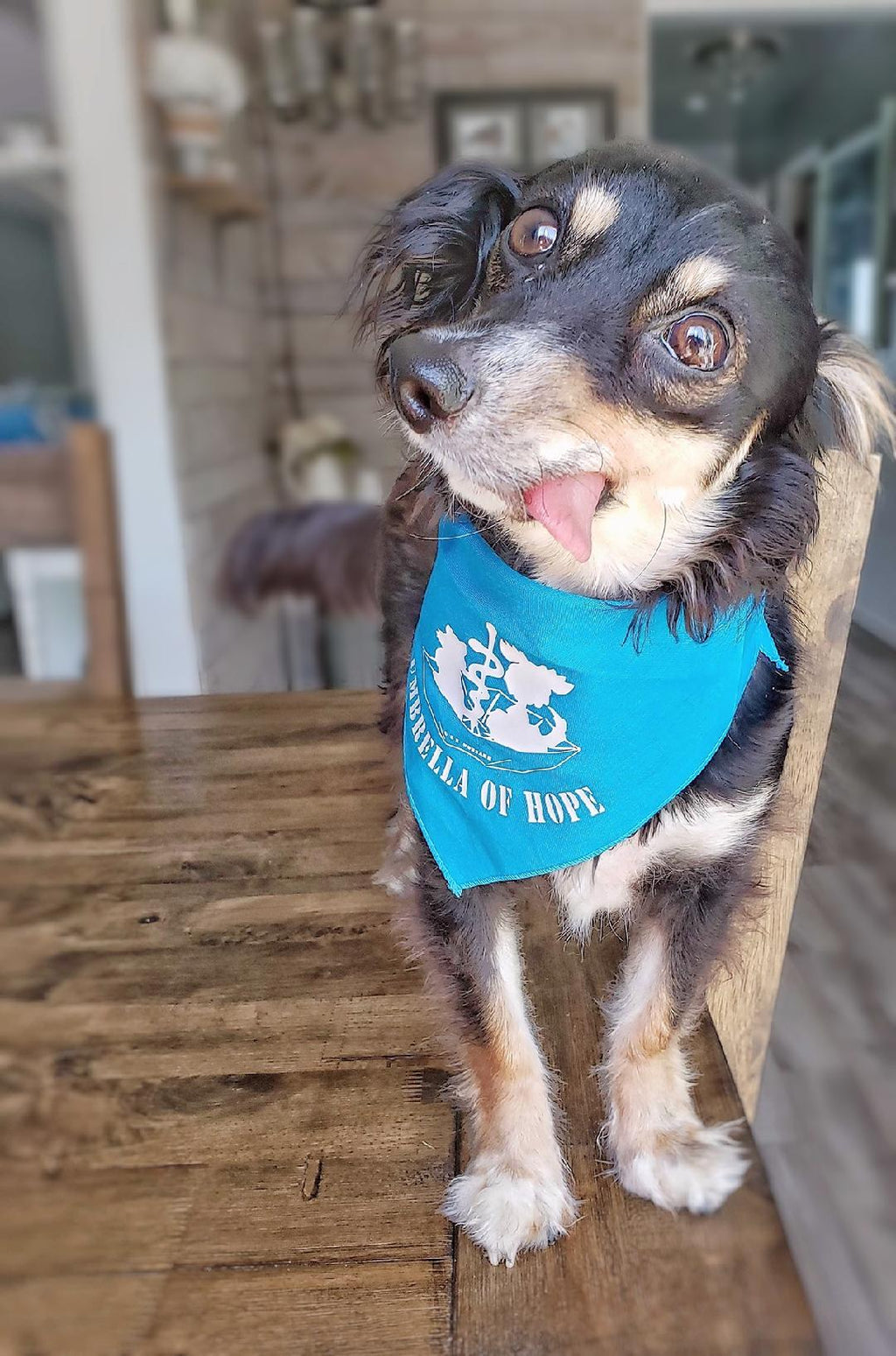 Umbrella of Hope Doggie Bandana - Ruff Life Rescue Wear